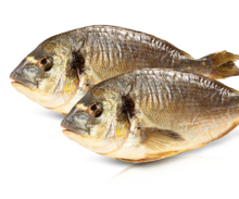 Dorada ahumada en frío, destripada y con cabeza